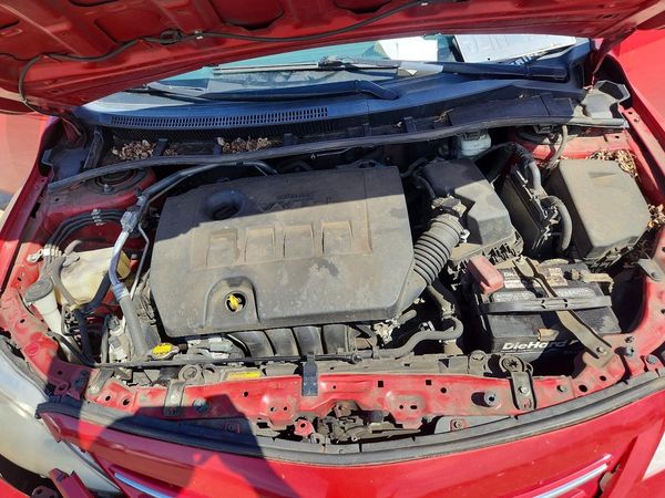 2013 TOYOTA COROLLA