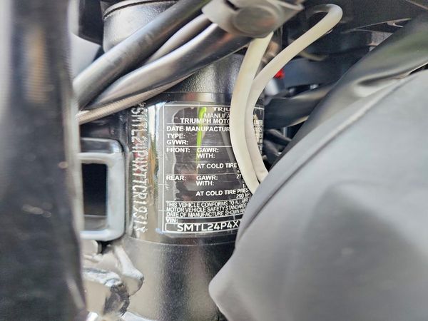 2026 TRIUMPH MOTORCYCLE TRIDENT