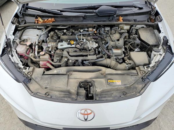 2024 TOYOTA PRIUS