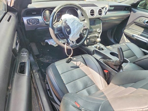 2019 FORD MUSTANG