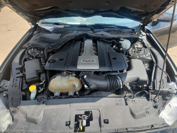 2019 FORD MUSTANG