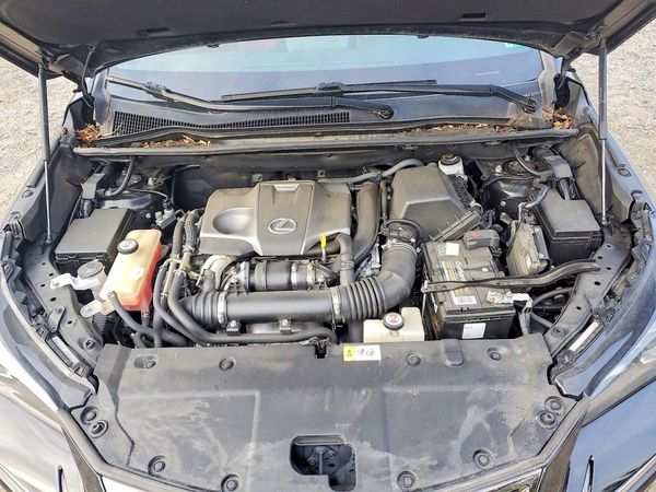 2019 LEXUS NX 300