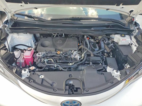 2021 TOYOTA SIENNA LE Plus Package