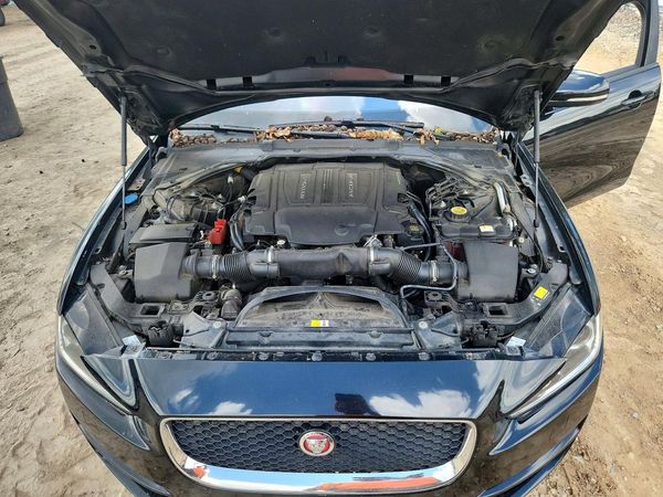 2017 JAGUAR XE