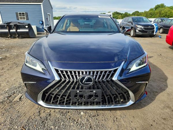2025 LEXUS ES 300H 300h Luxury