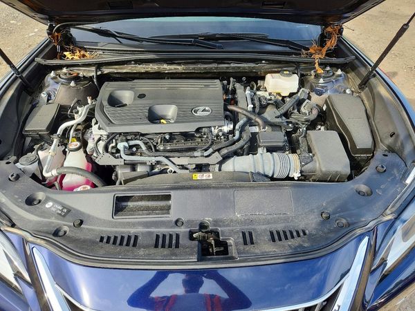 2025 LEXUS ES 300H 300h Luxury