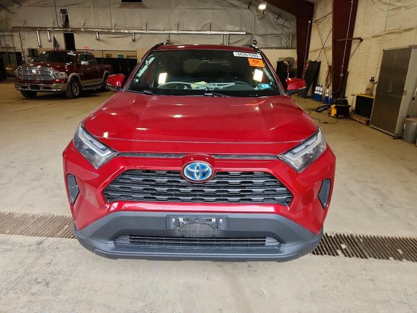 2024 TOYOTA RAV4 XLE