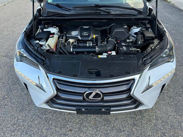2015 LEXUS NX 200t Luxury