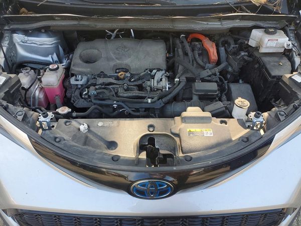 2021 TOYOTA SIENNA XSE Plus Package