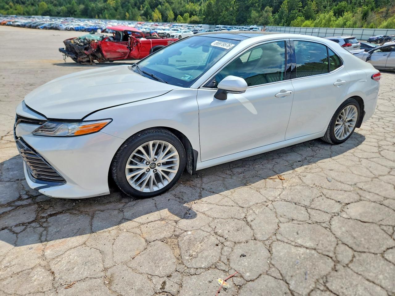 2019 TOYOTA CAMRY