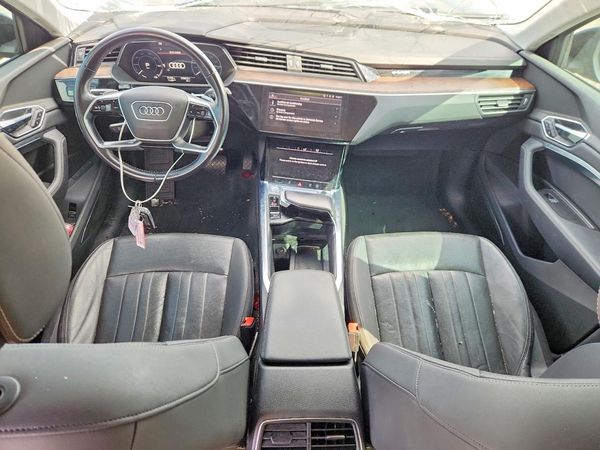 2019 AUDI E-TRON