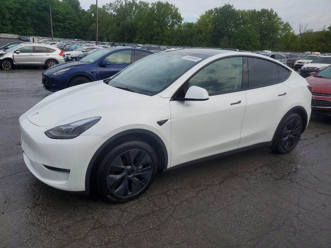 2024 TESLA MODEL Y