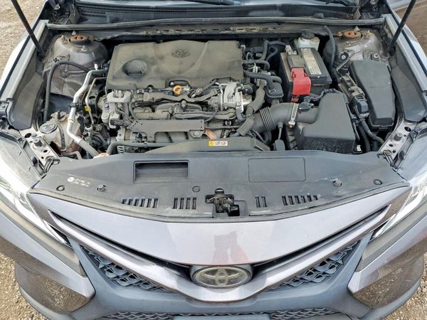 2019 TOYOTA CAMRY L/LE/SE/XLE