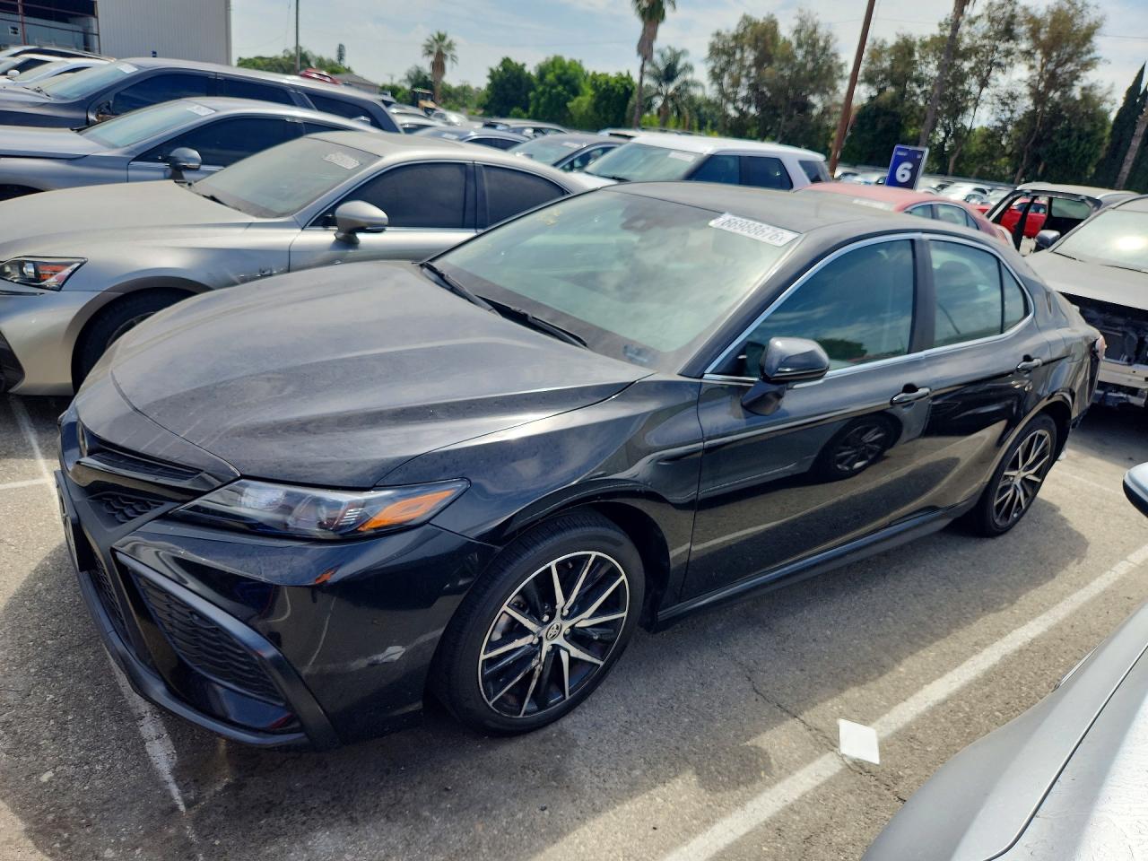 2024 TOYOTA CAMRY