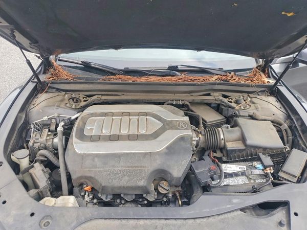 2014 ACURA RLX