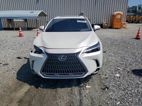2024 LEXUS ES 250 B