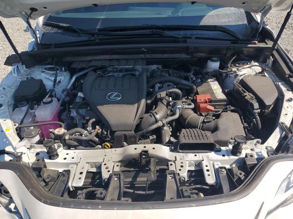 2024 LEXUS ES 250 B