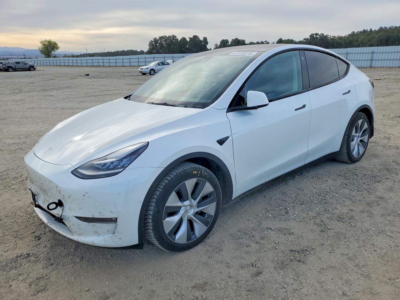 2021 TESLA MODEL Y