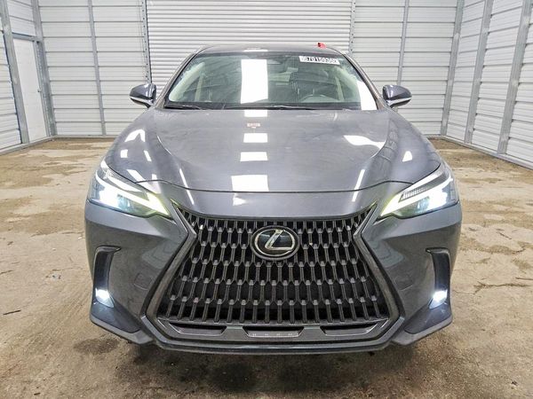 2023 LEXUS NX 250 Base — DIRF