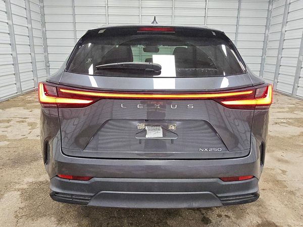 2023 LEXUS NX 250 Base — DIRR