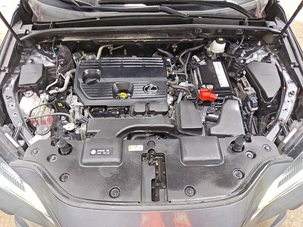 2023 LEXUS NX 250 Base — Engine bay