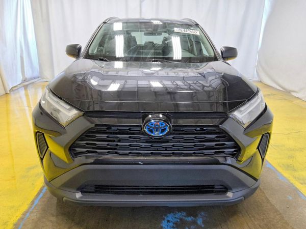 2024 TOYOTA RAV4 LE — DIRF