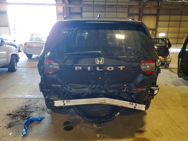 2026 HONDA PILOT Trailsport