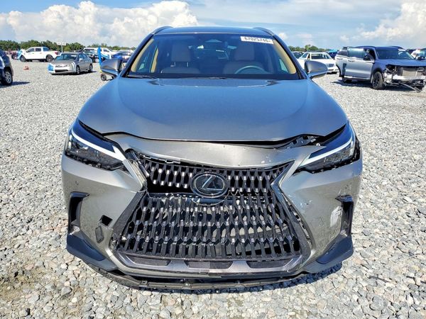 2025 LEXUS NX 250 350 Base