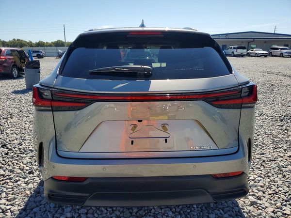 2025 LEXUS NX 250 350 Base