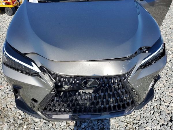2025 LEXUS NX 250 350 Base