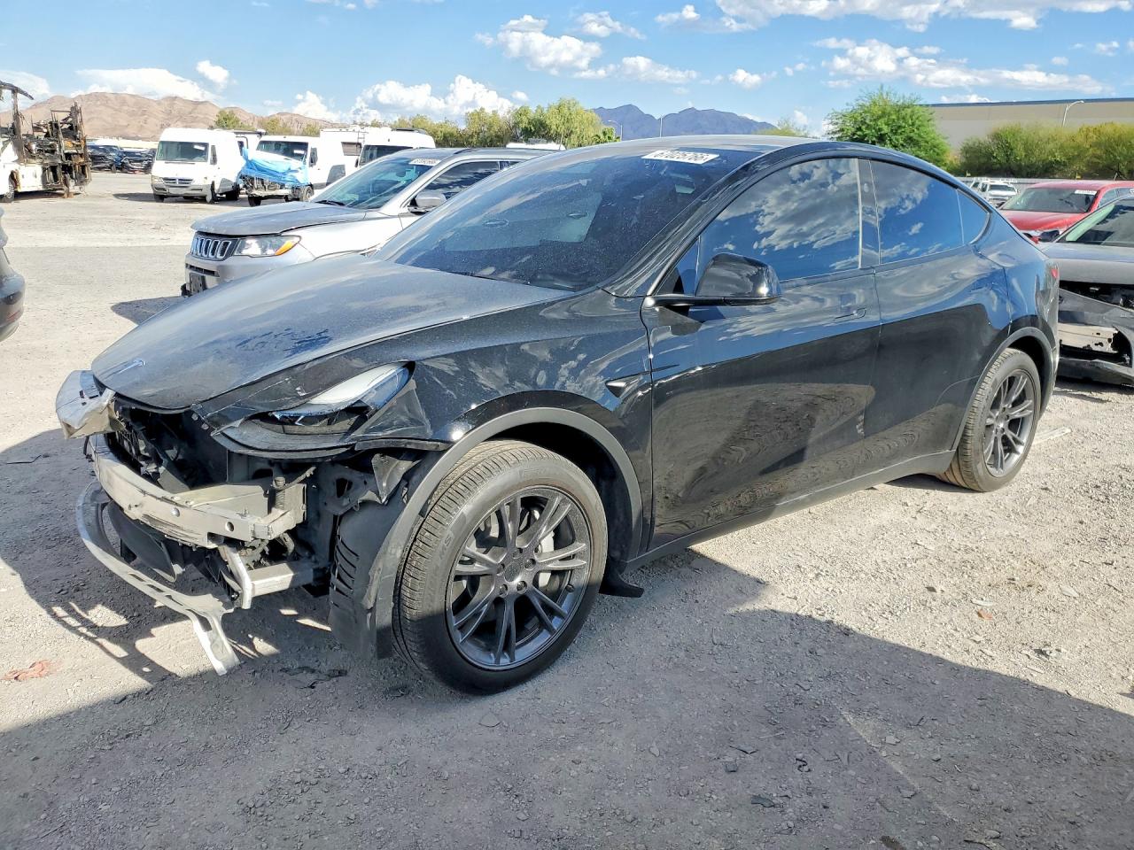 2025 TESLA MODEL Y