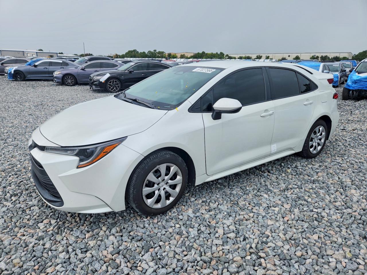 2024 TOYOTA COROLLA
