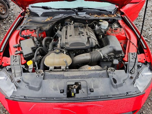 2018 FORD MUSTANG I4 Coupe