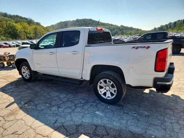 2019 CHEVROLET COLORADO Work Truck