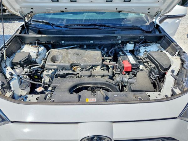 2019 TOYOTA RAV4 XLE Premium — Engine bay