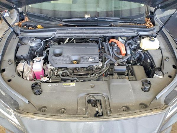 2025 LEXUS RX 350H