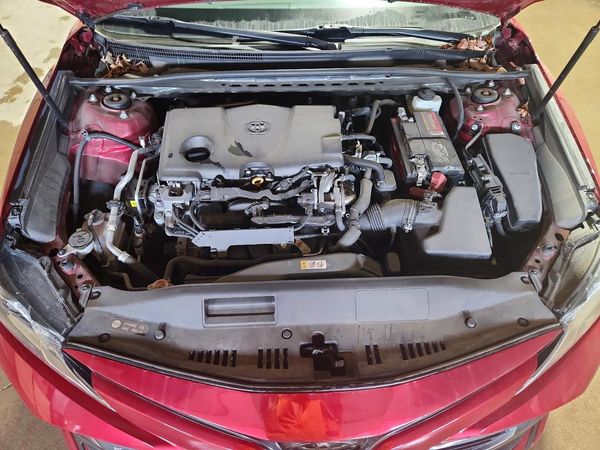 2019 TOYOTA CAMRY L/LE/SE/XLE