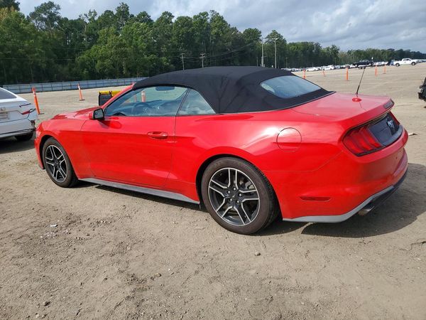2019 FORD MUSTANG