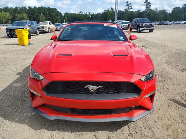2019 FORD MUSTANG