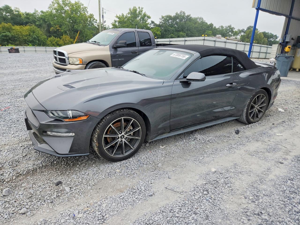 2019 FORD MUSTANG