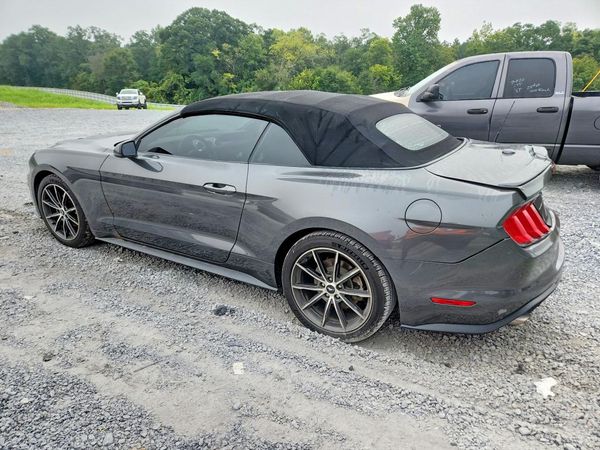 2019 FORD MUSTANG