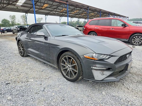 2019 FORD MUSTANG