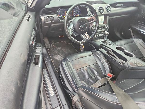 2019 FORD MUSTANG