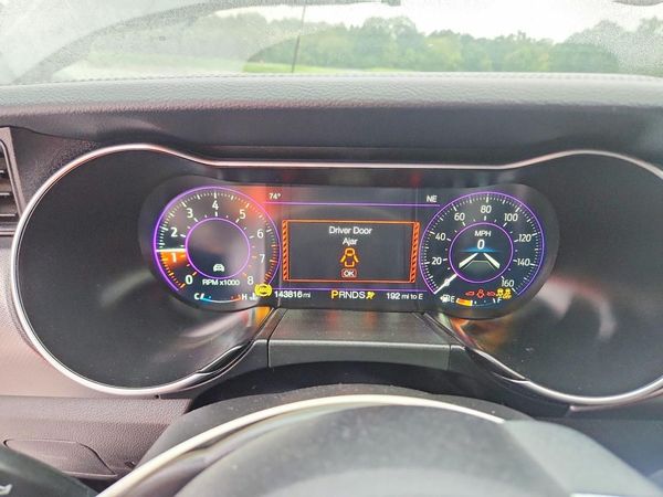 2019 FORD MUSTANG