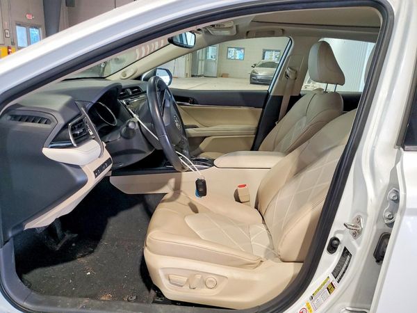 2019 TOYOTA CAMRY L/LE/SE/XLE