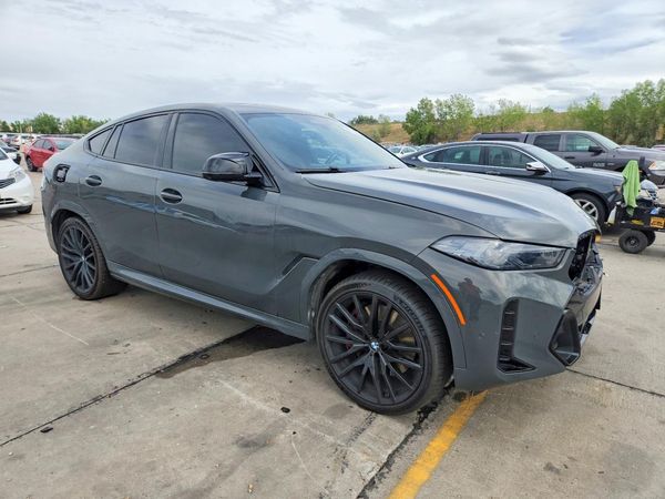 2024 BMW X6