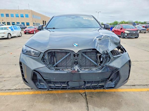 2024 BMW X6