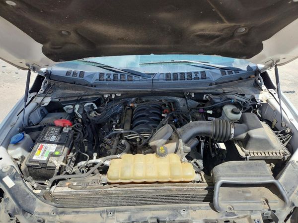 2019 FORD F150