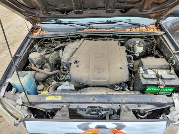 2015 TOYOTA TACOMA Delux Grade