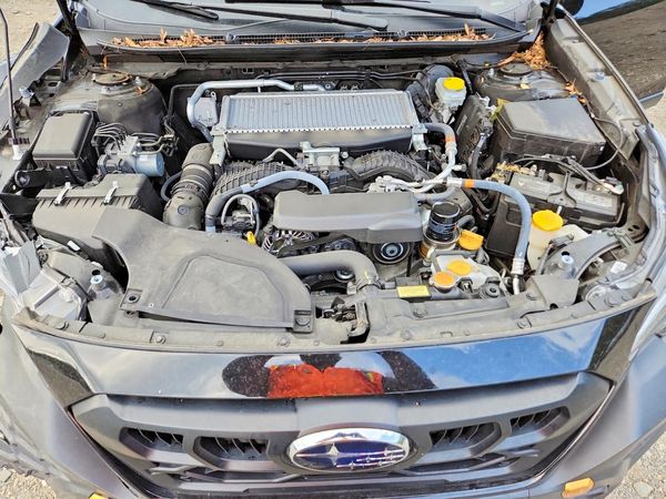 2024 SUBARU OUTBACK